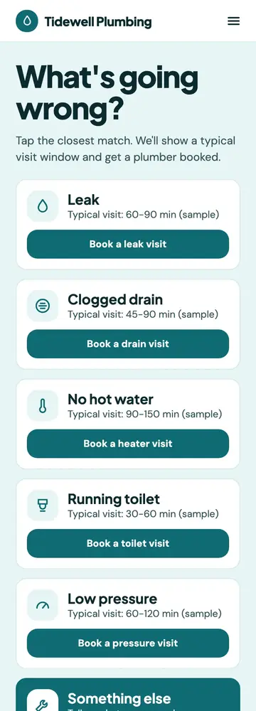 Tidewell Plumbing, Problem picker, mobile home page